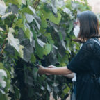 Agrupaciones de turismo buscan poner en valor la vida rural en los campos de O´Higgins